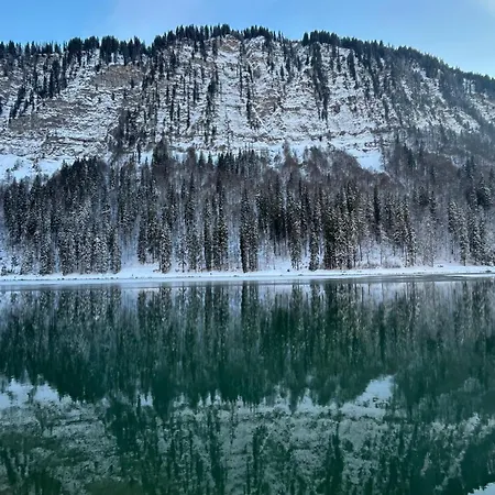 Portes Du Soleil T3 