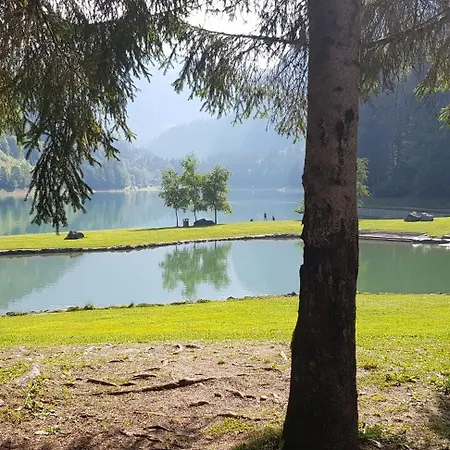 Portes Du Soleil T3 