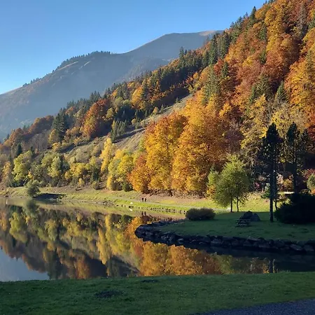 Portes Du Soleil T3 